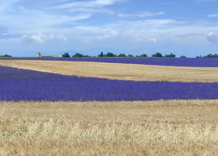 Samson Mit Kamin By Interhome